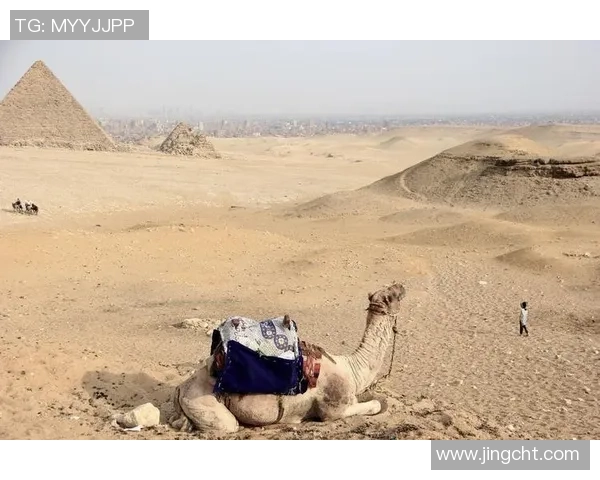 杭州极限运动队引发的意识形态争议与社会反响分析