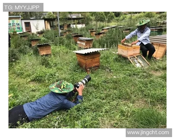 广州极限运动队的拼搏之路:勇敢追梦的青春纪实与奋斗故事 广州极限运动队的拼搏之路:勇敢追梦的青春纪实与奋斗故事
