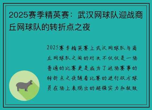 2025赛季精英赛：武汉网球队迎战商丘网球队的转折点之夜